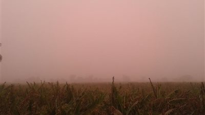 الأقصر ترفع درجة الاستعداد القصوى بسبب سوء الاحوال الجوية