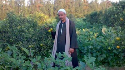 بالأسماء.. تعرف علي الفائزين بانتخابات الجمعية الزراعية بمنشأة جريس بالمنوفية