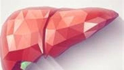 اليوم صدور كتاب دولى جديد عن