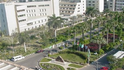 عاجل| جامعة المنصورة تعلن عن وظائف جديدة لأعضاء هيئة التدريس 