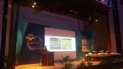 تغطية جلسات اليوم الثانى لمؤتمر الإستراتيجية لجامعة عين شمس 