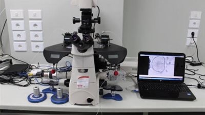 سيدة تضع ثلاث تواءم بمركز الاخصاب المساعد بقنا الجامعي