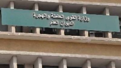 القوى العاملة تعلن عن 13 ألف فرصة عمل للخريجين.. ننشر جميع التخصصات المطلوبة