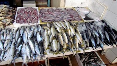 بعد قرار وقف تصدير الاسماك..تعرف على متوسط الاسعار بالاسواق