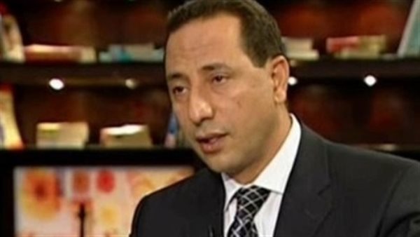 النائب محمود محى