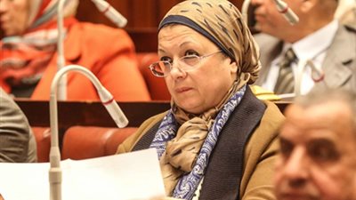 نائبة برلمانية: 