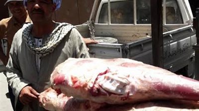 بالصور.. ضبط كميات لحوم فاسدة بأسيوط